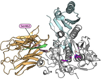 PCSK9